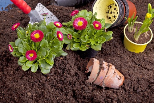 Landscape gardening in Rayners Lane with a stylish planted garden