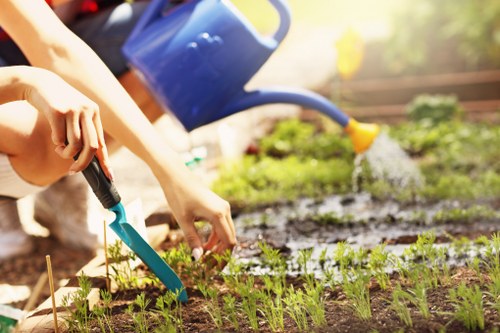 Illustration of accessible gardening services in Rayners Lane