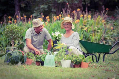 Professional garden upkeep for a Rayners Lane property
