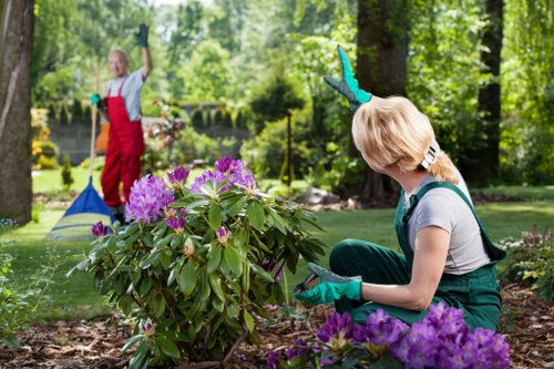 Gardeners Rayners Lane modern slavery policy introduction