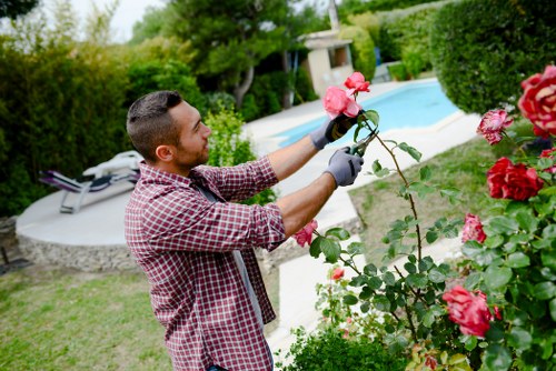 Supplier audit process for Rayners Lane gardening services