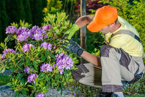 Professional garden maintenance in Rayners Lane before autumn cleanup
