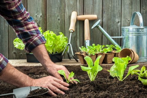 Professional garden care in Rayners Lane improving kerb appeal