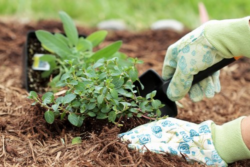 Sustainable garden maintenance with recycling and green transport