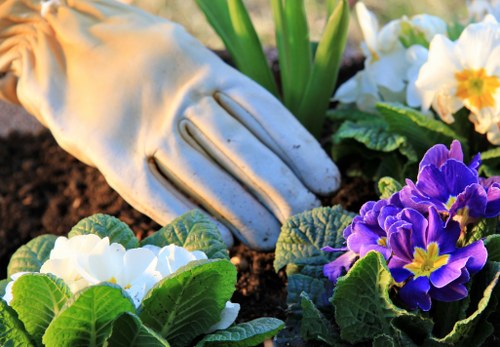 User controlling cookie preferences on a gardening website