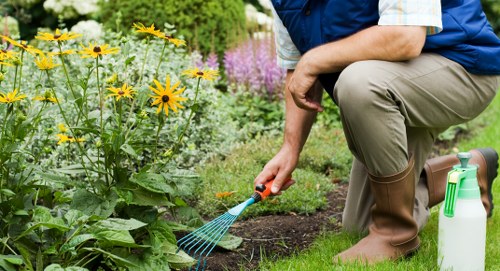 Professional landscaping in Rayners Lane with structured planting and seating areas