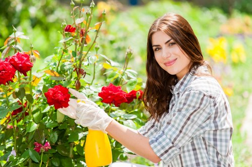 Seasonal lawn mowing service for a local Rayners Lane home