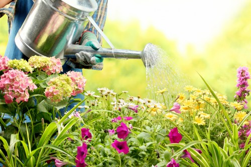 Modern landscaping in Rayners Lane using low-maintenance materials