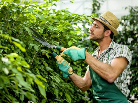 UK governing law and waste compliance for garden services
