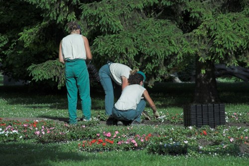 Reliable Gardeners Rayners Lane providing thoughtful and consistent garden care
