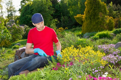 Seasonal hedge maintenance in Rayners Lane
