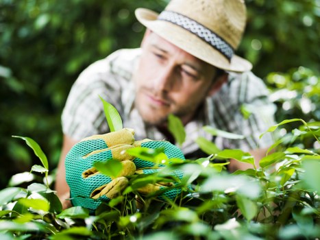 Low-carbon van used for sustainable gardening services