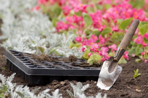 Seasonal border and lawn maintenance in Rayners Lane