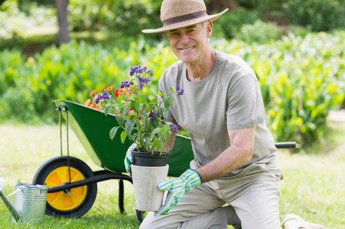 Professional lawn care service for a neat garden in Rayners Lane