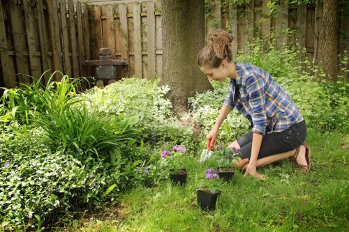 Local garden maintenance in Rayners Lane with hedge trimming and weeding